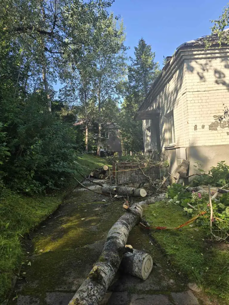 Anykščiuose po škvalo pavojų kelia dar keli medžiai