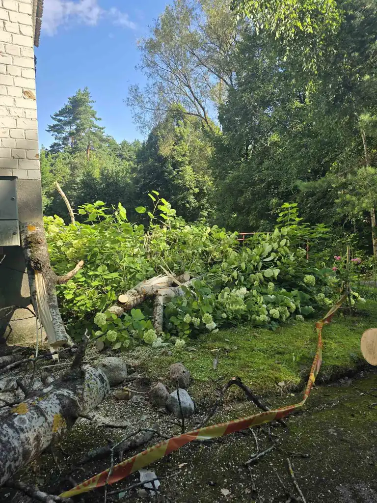 Anykščiuose po škvalo pavojų kelia dar keli medžiai