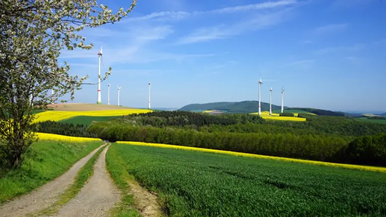 Europos energetikos tendencijos: ar laukti elektros kainų svyravimų rudenį?