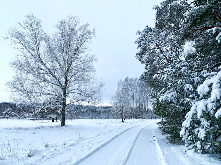 Kaitros pabaiga Lietuvoje: sinoptikai prognooja staigų temperatūros kritimą