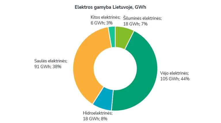 Lietuva pagamino 101 proc. poreikio, bet kaina šoko 70 proc.