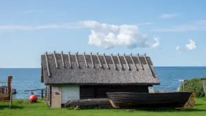 Lietuviška dovana: ką įvertinti prieš perkant