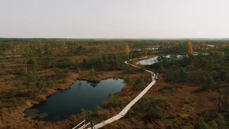 Rugpjūčio 22–23 d.: Mūšos tyrelis, Dūkštos ir Pavilniai