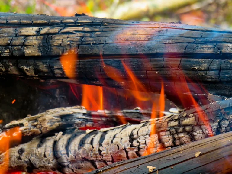 Sapnuoti ugnį per Jonines: energija ar nerimas?
