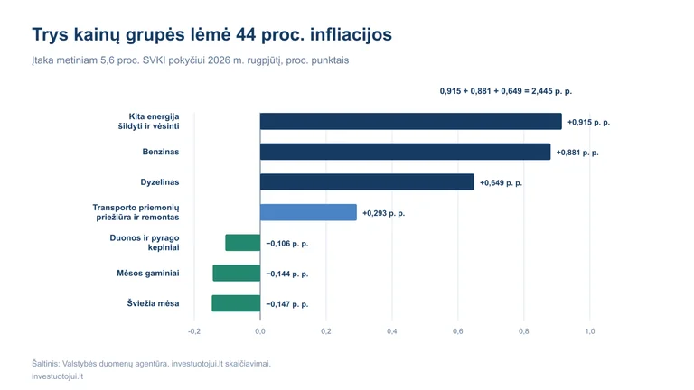 Lietuvoje infliaciją labiausiai kelia šildymas ir degalai