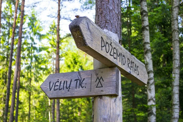 Pakruojo jaunimas kviečiamas į nemokamą žygį Lygumų apylinkėse