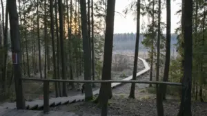 Pakruojyje – savaitė renginių nuo žygių iki parodų