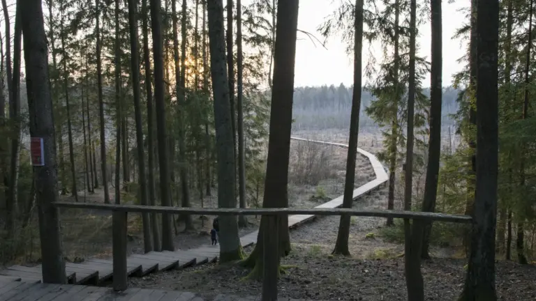 Pakruojyje – savaitė renginių nuo žygių iki parodų