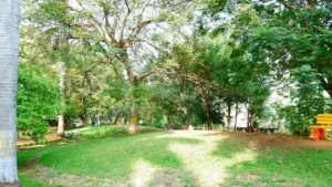Tvarkingas žalias miesto parkas su medžiais, skirtas laisvalaikiui ir aplinkos švarai palaikyti.