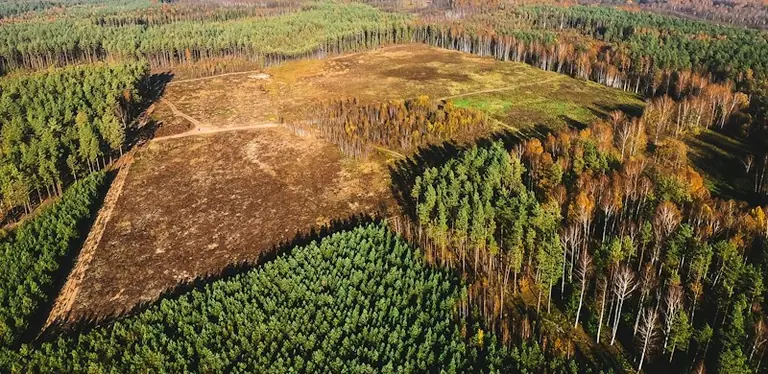 Rudens lygiadienis Lietuvoje: ką žymėjo metų kaita