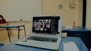 Pakruojyje – nemokama nuotolinė paskaita apie interneto kokybę